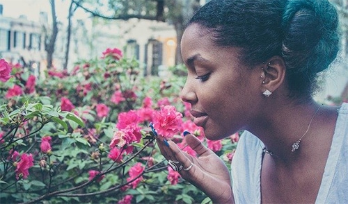 De geur van rozen helpt jou beter leren en onthouden tijdens je slaap!